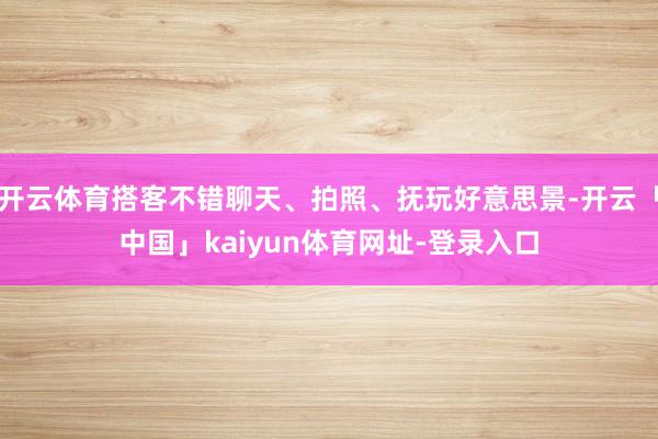 开云体育搭客不错聊天、拍照、抚玩好意思景-开云「中国」kaiyun体育网址-登录入口