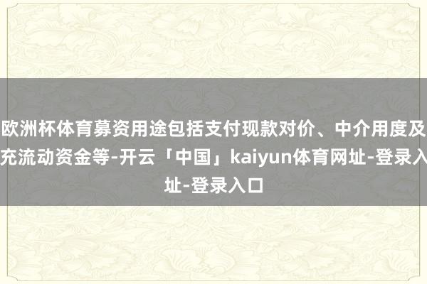 欧洲杯体育募资用途包括支付现款对价、中介用度及补充流动资金等-开云「中国」kaiyun体育网址-登录入口